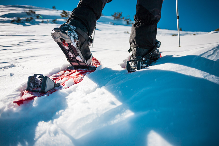 Mit Schneeschuhen durch die Winterlandschaft