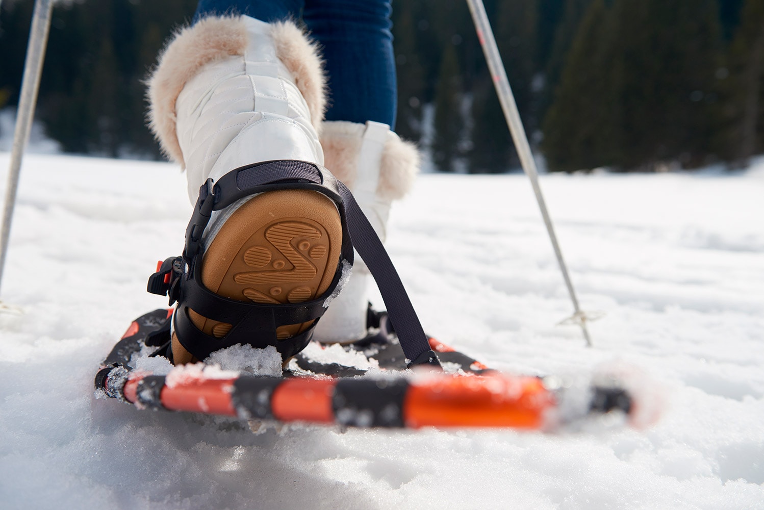 Schneeschuhe mit Alurahmen